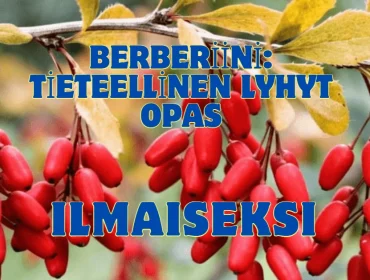 Berberiini