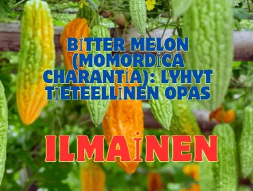 Bitter Melon